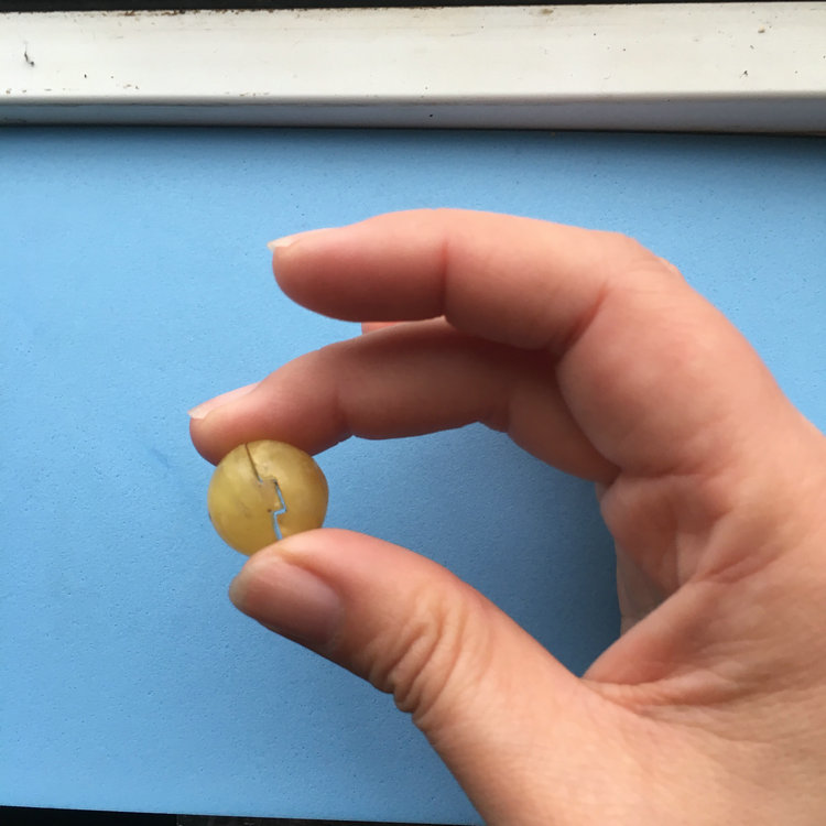 晨虹數控砂線切割機切割的蜜蠟珠子